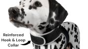 Portable Surveillance System GPS Pet Tracking Collars for Hunting Dogs Size:XL