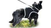 Portable Surveillance System GPS Pet Tracking Collars for Hunting Dogs Size:S