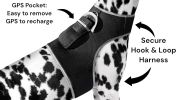 Rechargeable Mini GPS Realtime Pet Tracking Collars for Hunting Dogs Size:S